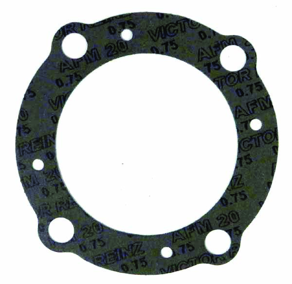 007-313